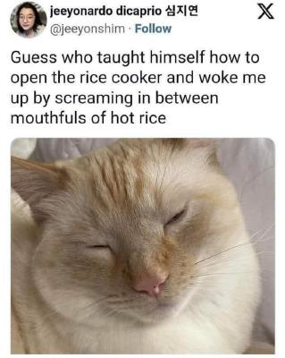 image/jpeg