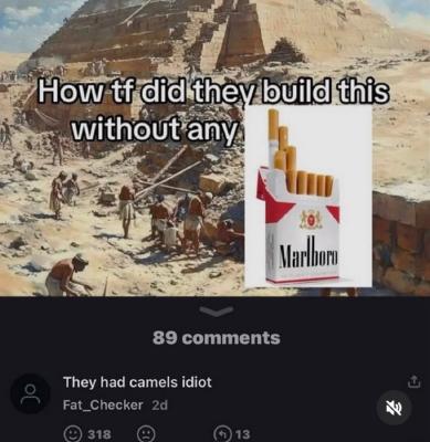 image/jpeg