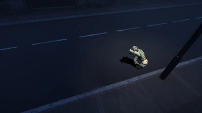 image/webp
