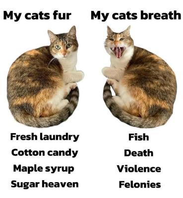 image/jpeg