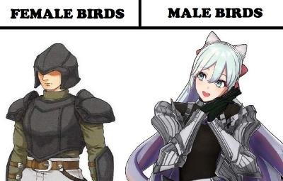image/png